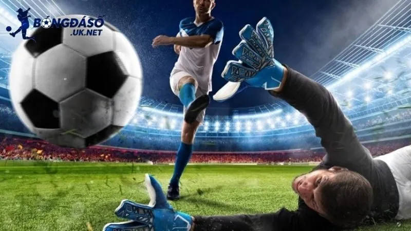 Dựa theo cách chơi mồi để cá cược bóng đá hiệu quả