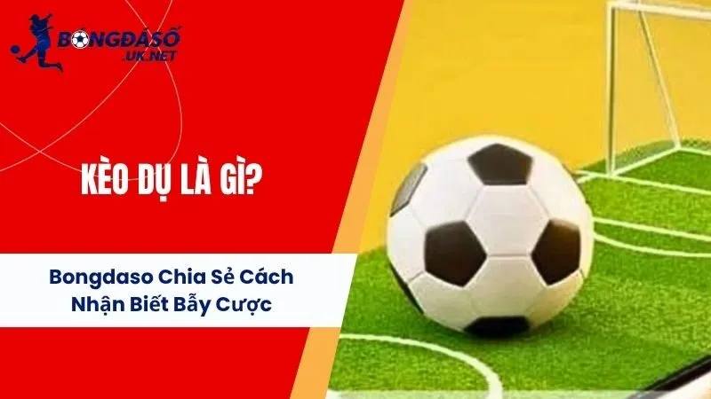 Kèo Dụ Là Gì? Bongdaso Chia Sẻ Cách Nhận Biết Bẫy Cược